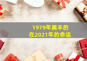 1979年属羊的在2021年的命运