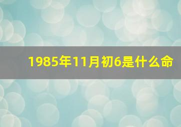 1985年11月初6是什么命