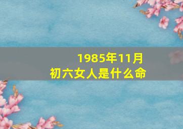 1985年11月初六女人是什么命