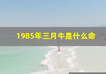 1985年三月牛是什么命