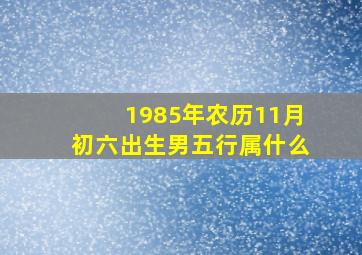 1985年农历11月初六出生男五行属什么