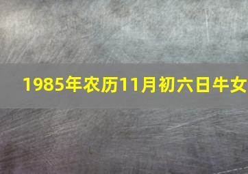 1985年农历11月初六日牛女