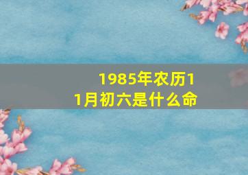 1985年农历11月初六是什么命