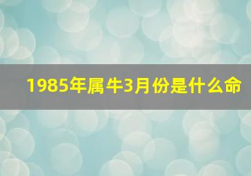 1985年属牛3月份是什么命