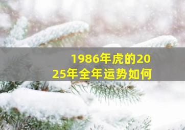 1986年虎的2025年全年运势如何