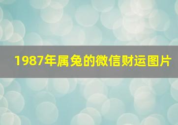 1987年属兔的微信财运图片