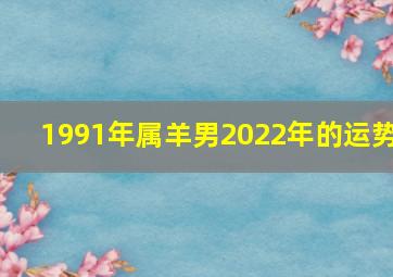 1991年属羊男2022年的运势