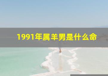 1991年属羊男是什么命