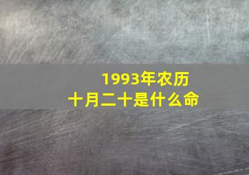 1993年农历十月二十是什么命