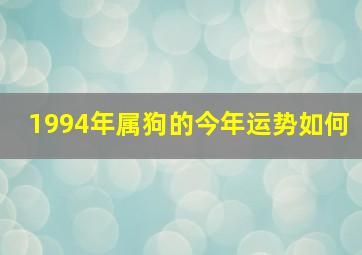 1994年属狗的今年运势如何