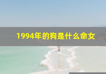 1994年的狗是什么命女