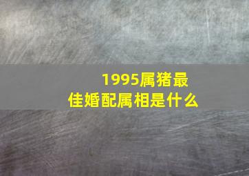 1995属猪最佳婚配属相是什么