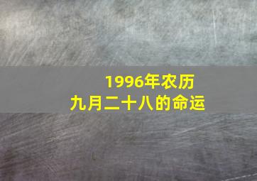 1996年农历九月二十八的命运