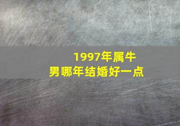 1997年属牛男哪年结婚好一点