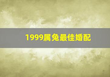 1999属兔最佳婚配