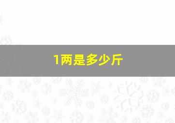 1两是多少斤