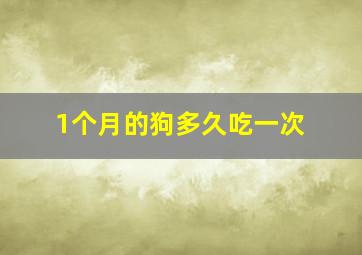 1个月的狗多久吃一次