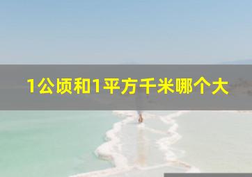 1公顷和1平方千米哪个大