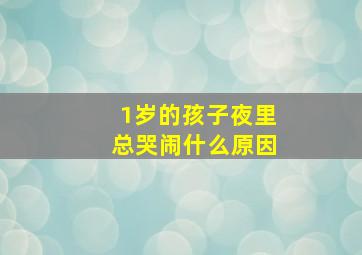 1岁的孩子夜里总哭闹什么原因