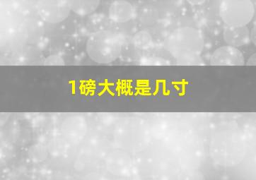 1磅大概是几寸