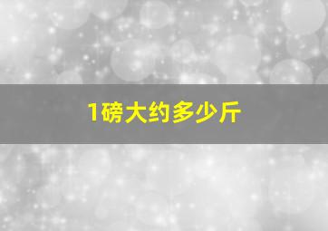 1磅大约多少斤