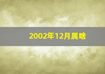 2002年12月属啥