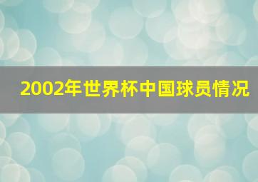 2002年世界杯中国球员情况