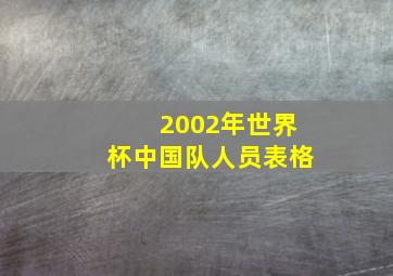 2002年世界杯中国队人员表格