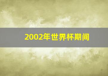 2002年世界杯期间