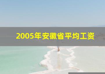 2005年安徽省平均工资