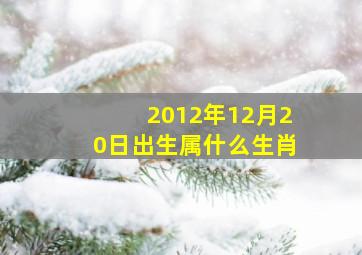 2012年12月20日出生属什么生肖