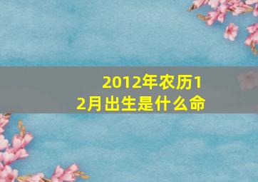 2012年农历12月出生是什么命