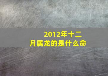 2012年十二月属龙的是什么命