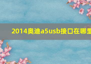 2014奥迪a5usb接口在哪里