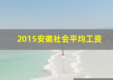 2015安徽社会平均工资