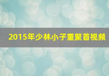 2015年少林小子重聚首视频