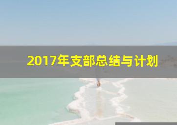 2017年支部总结与计划