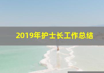 2019年护士长工作总结