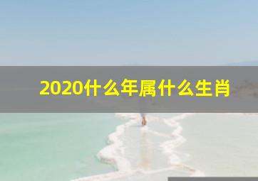 2020什么年属什么生肖