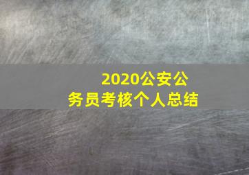 2020公安公务员考核个人总结