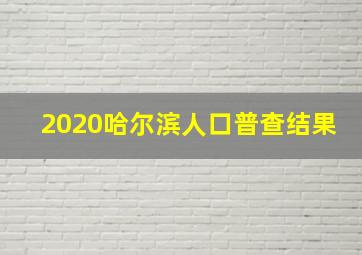 2020哈尔滨人口普查结果