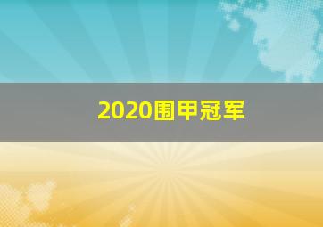 2020围甲冠军