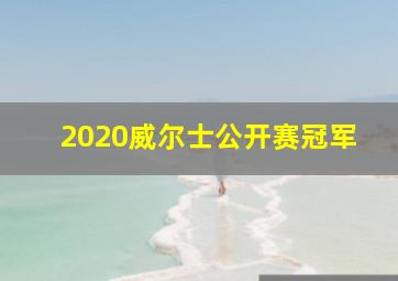 2020威尔士公开赛冠军