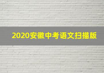 2020安徽中考语文扫描版