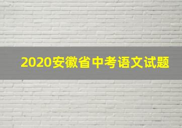 2020安徽省中考语文试题