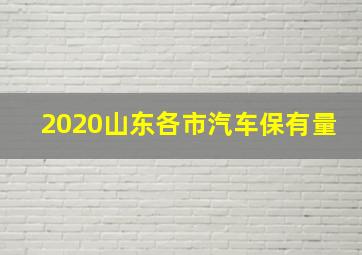 2020山东各市汽车保有量