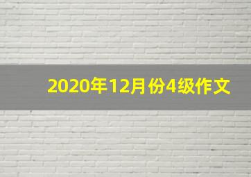 2020年12月份4级作文