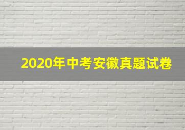 2020年中考安徽真题试卷