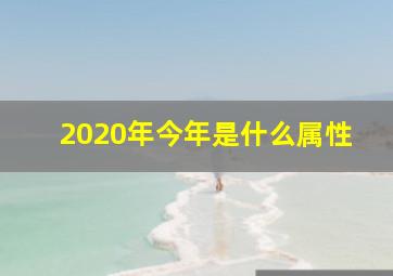 2020年今年是什么属性