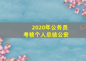 2020年公务员考核个人总结公安